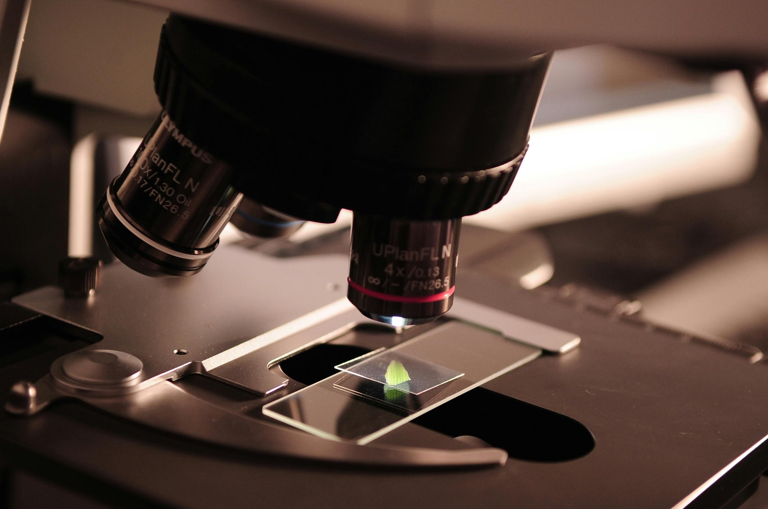 Laboratory microscope
